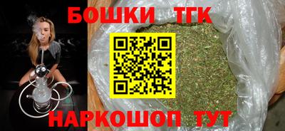 тгк Славгород