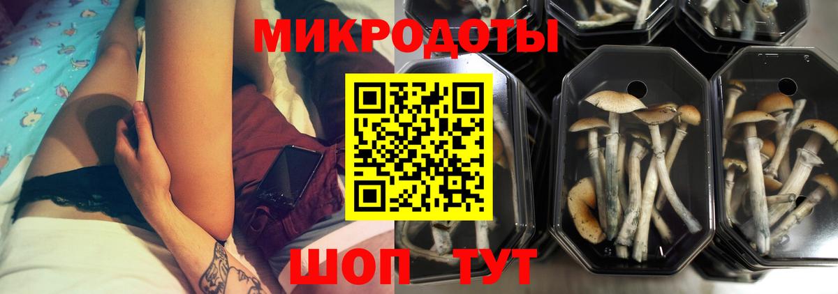 Нурлат  Галлюциногенные грибы Psilocybe  Псилоцибиновые грибы MAGIC MUSHROOMS  Вход с VPN 
